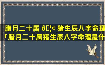 腊月二十属 🦢 猪生辰八字命理「腊月二十属猪生辰八字命理是什么」